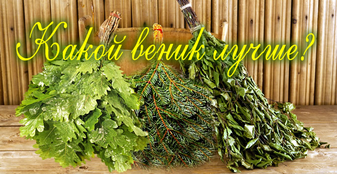 Какие веники для бани самые лучшие?