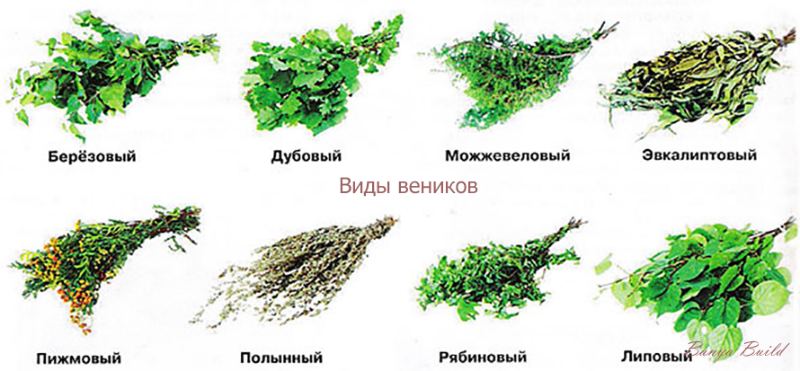 Какой лучше выбрать веник для бани?